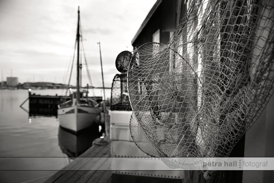 westcoast_06 westcoast_06